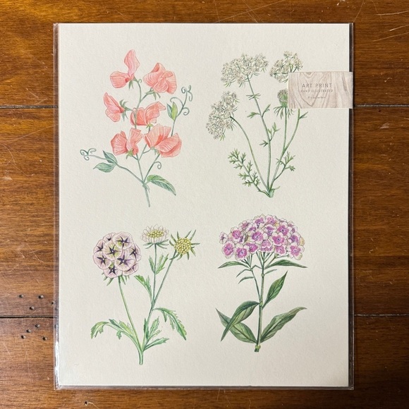 Hand Illustrated Botanics Art Print - Ready To Frame - Picture 4 of 8